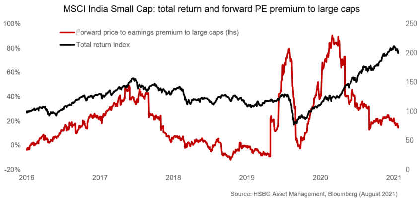 India small caps