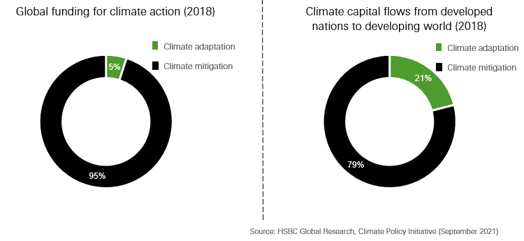 Adaptation vs mitigation