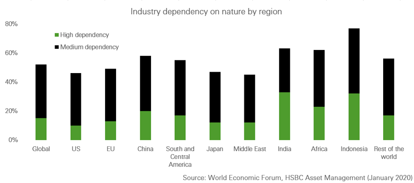 Deforestation and natural capital