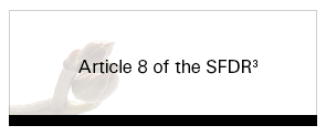 Article 8